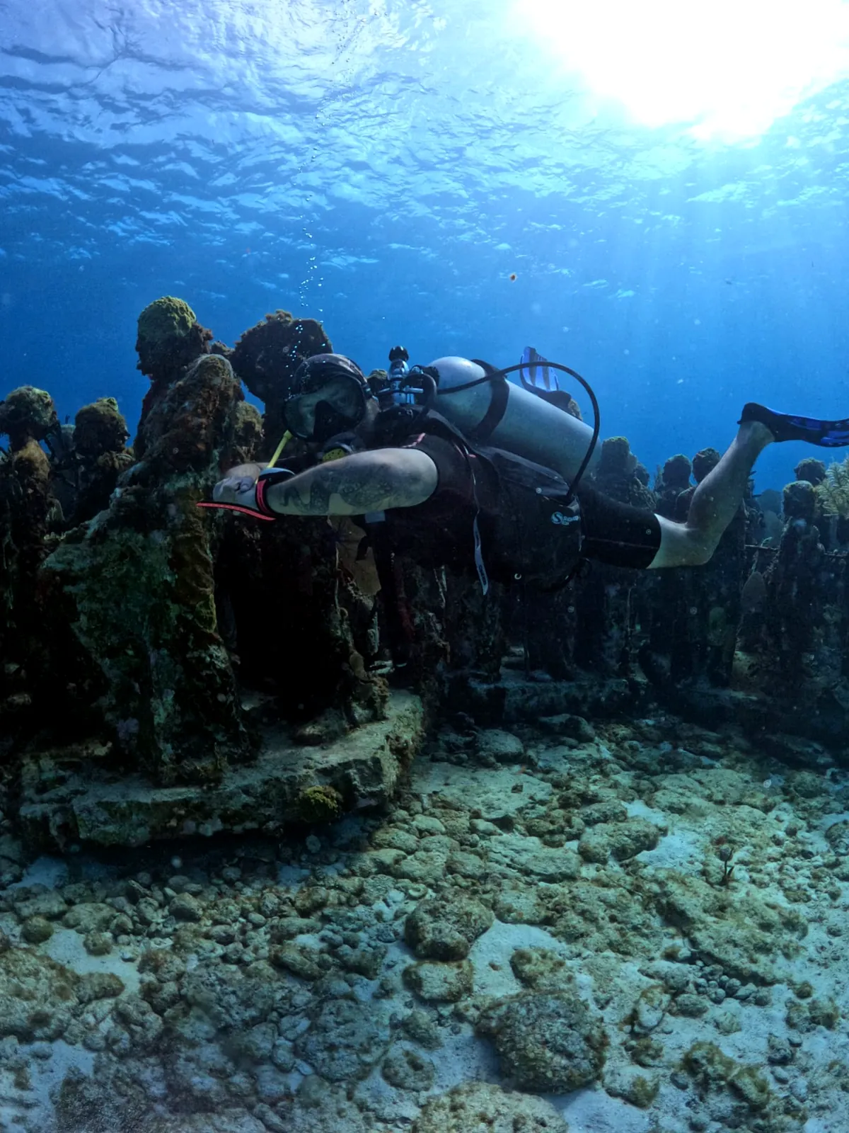 Diver swimming past a group of MUSA sculptures